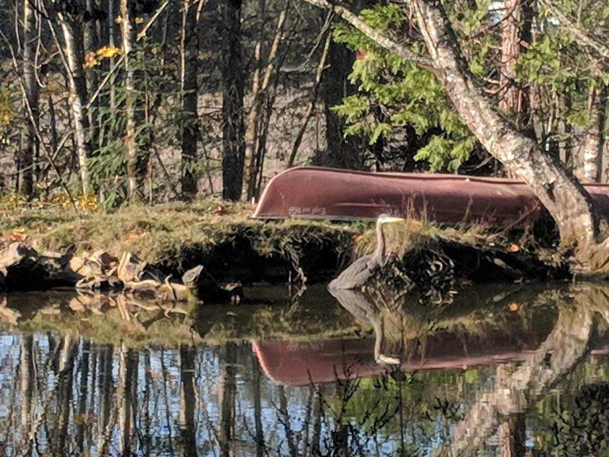 فيلا Healing Ponds Farm Buxton المظهر الخارجي الصورة